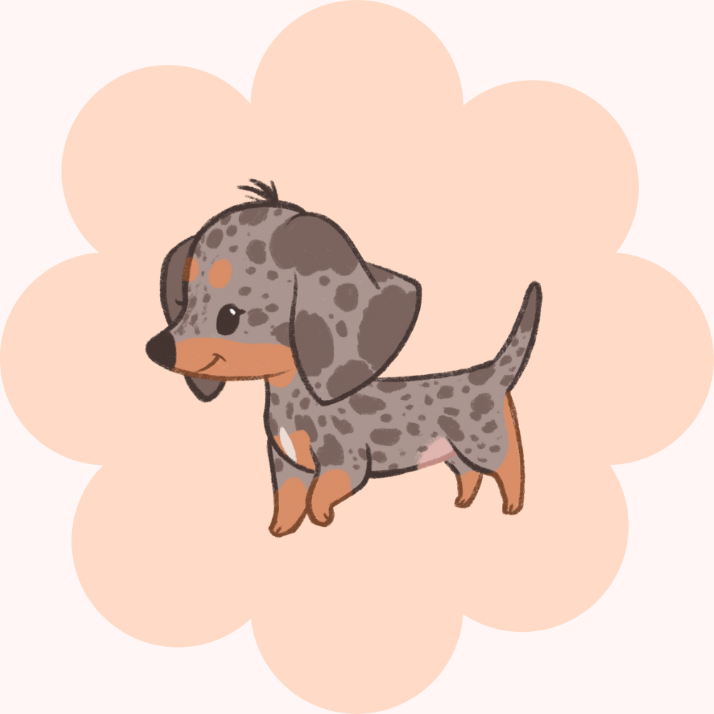 Fievel The Wiener Dog