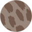 Chocolate Dapple