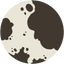 Piebald